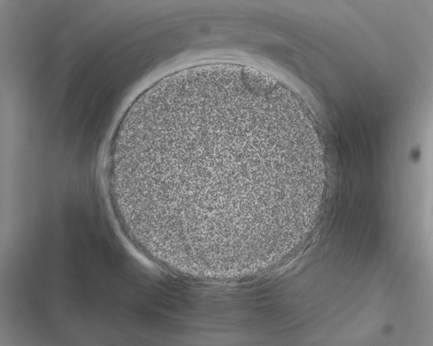 X0000116601519201001221247