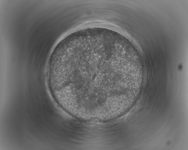 X0000116601522201001221247