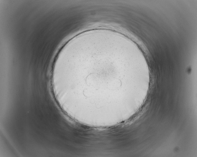 X0000116601525201001221247