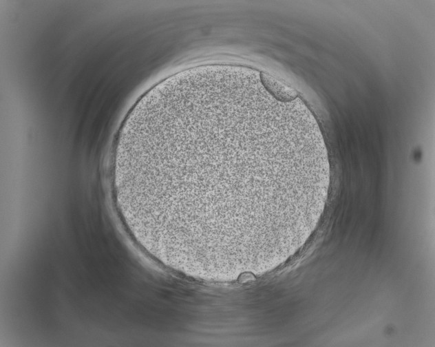 X0000116601526201001221247