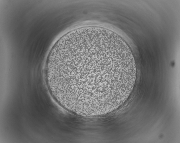 X0000116601527201001221247