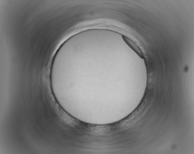 X0000116601530201001221247