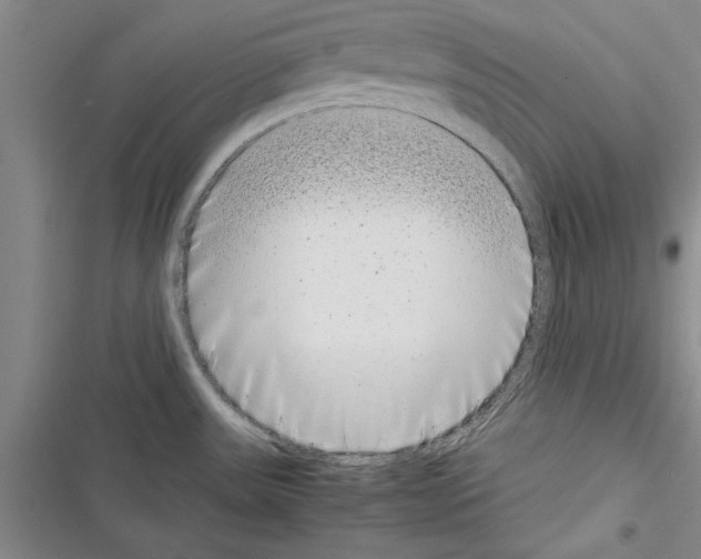 X0000116601531201001221247