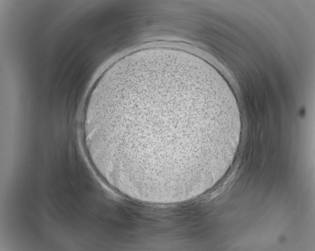 X0000116601533201001221247