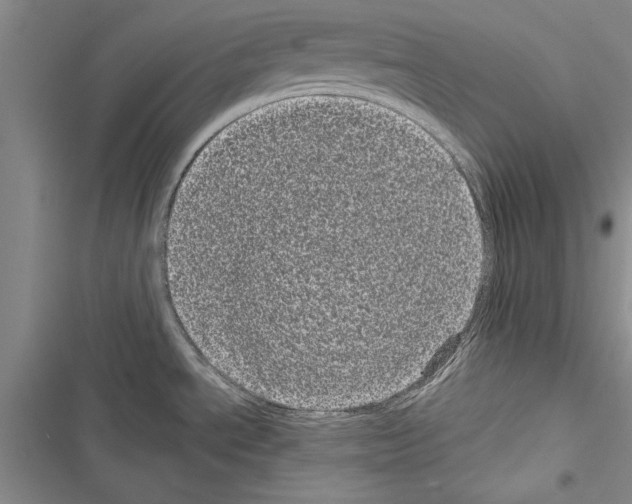 X0000116601534201001221247