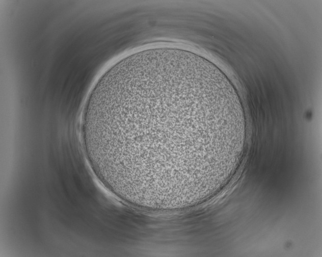 X0000116601535201001221247