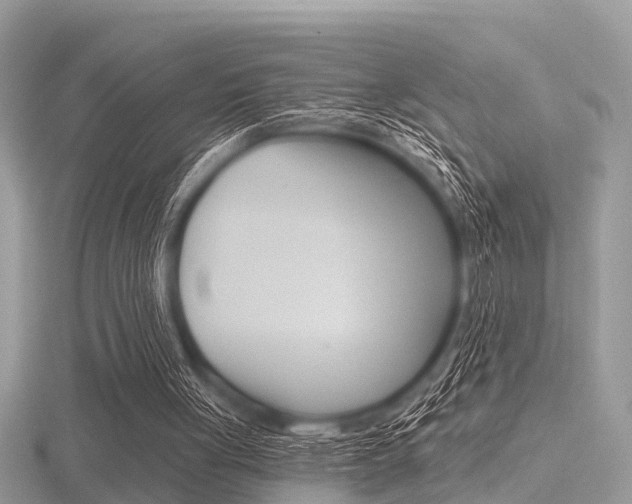 X0000116610051200912111009