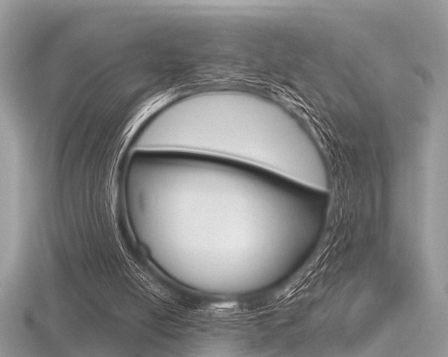 X0000116610054200912111009