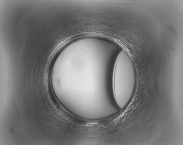 X0000116610055200912111009