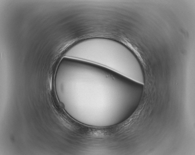 X0000116610062200912111009