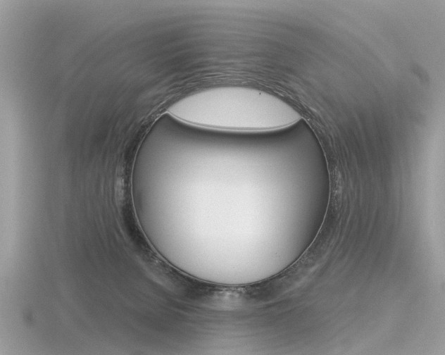 X0000116610080200912111010
