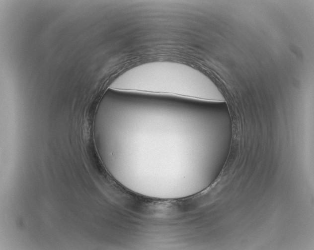 X0000116610086200912111010