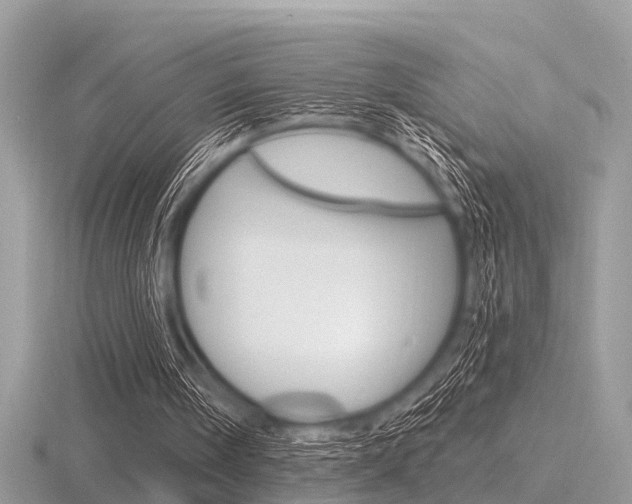 X0000116610098200912111009