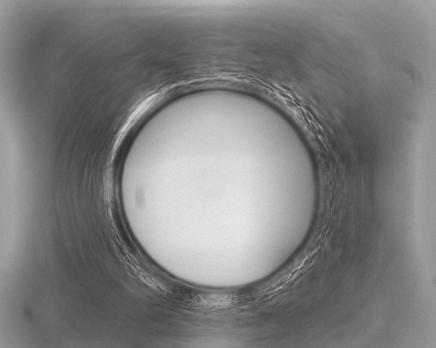 X0000116610102200912111009