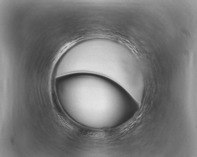 X0000116610104200912111009