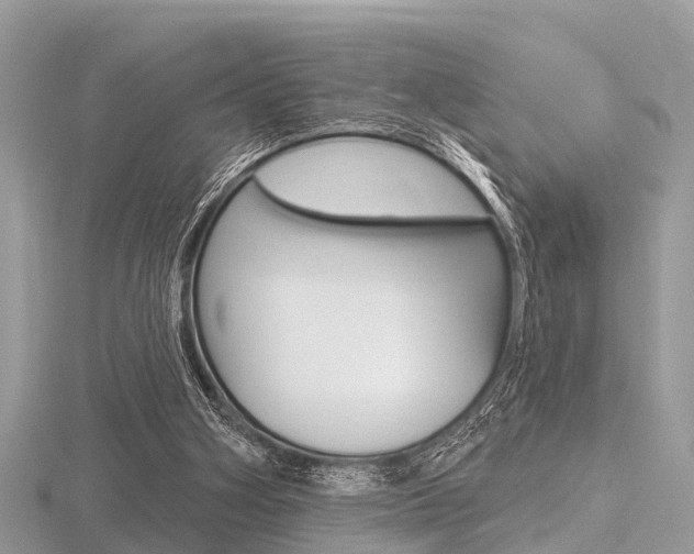 X0000116610106200912111009