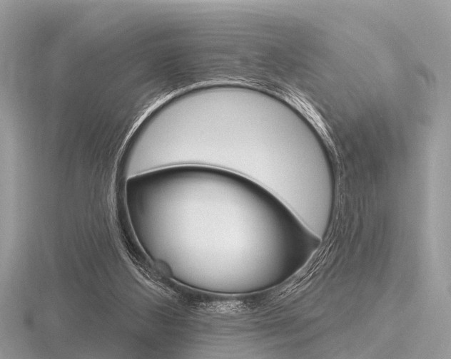 X0000116610108200912111009