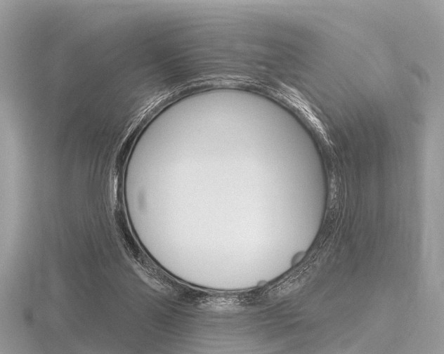 X0000116610110200912111009