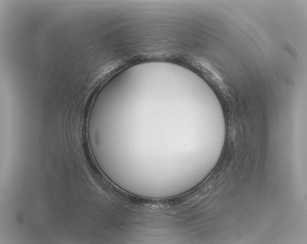 X0000116610115200912111009
