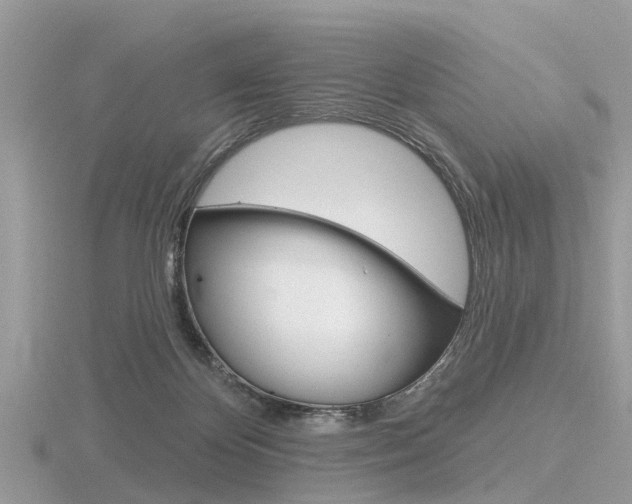 X0000116610124200912111009