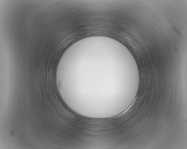 X0000116610136200912111009