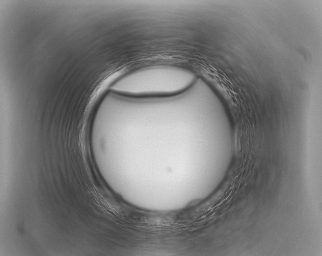 X0000116610147200912111008