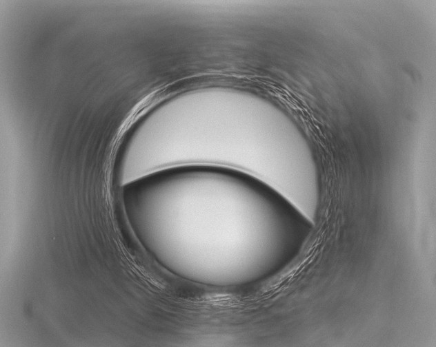 X0000116610150200912111008