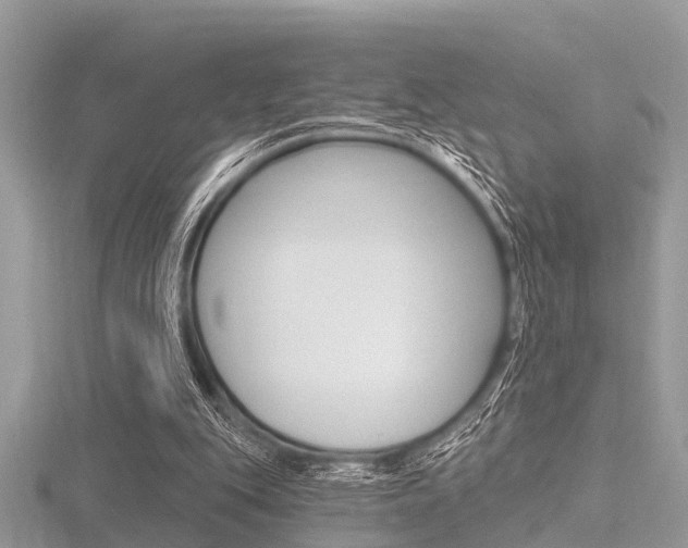 X0000116610151200912111008