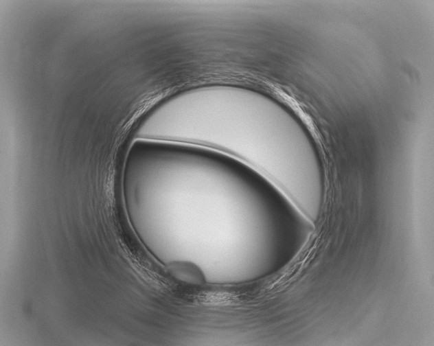 X0000116610154200912111008