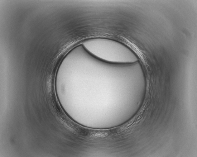 X0000116610155200912111008