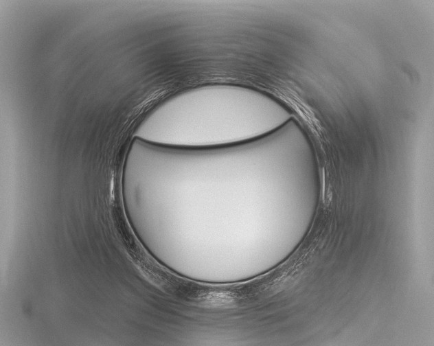 X0000116610157200912111008