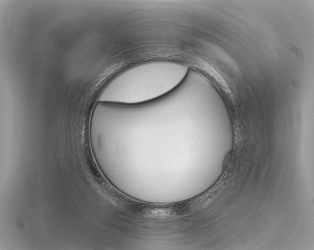 X0000116610163200912111008
