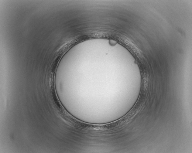X0000116610165200912111008