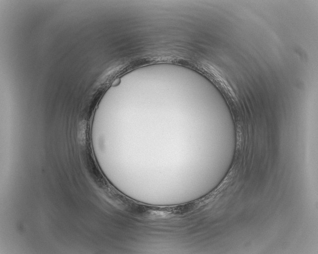 X0000116610167200912111008