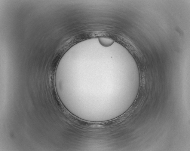 X0000116610169200912111008