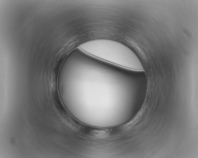 X0000116610170200912111008