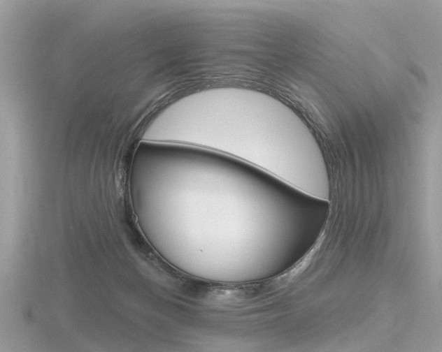 X0000116610174200912111008