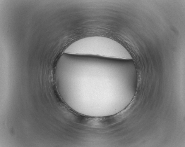 X0000116610182200912111008