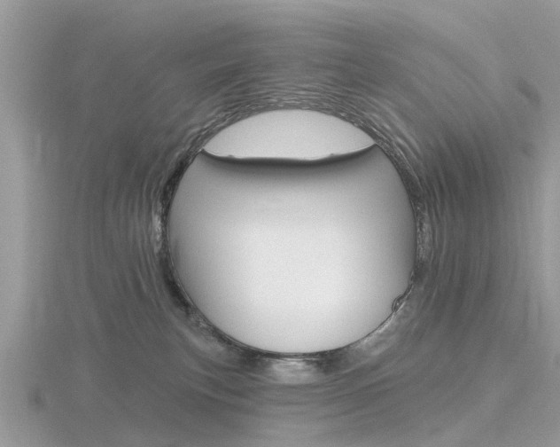X0000116610183200912111008