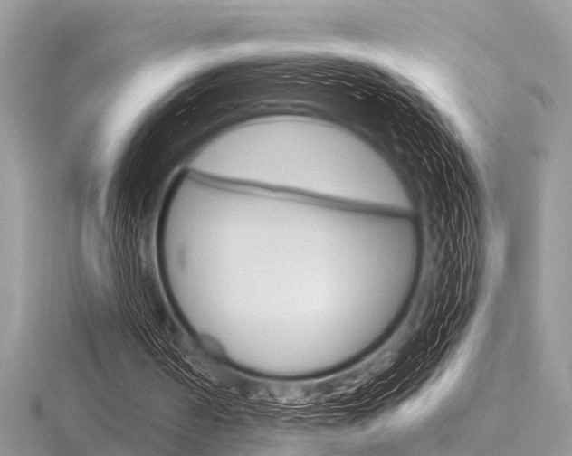 X0000116610194200912111008