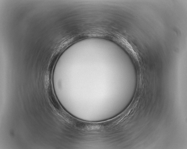 X0000116610202200912111008