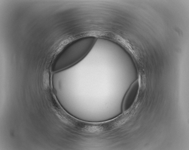 X0000116610205200912111008