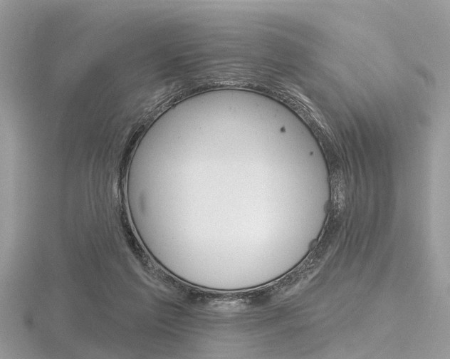 X0000116610213200912111008