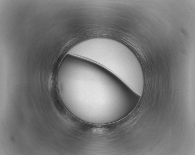 X0000116610216200912111008