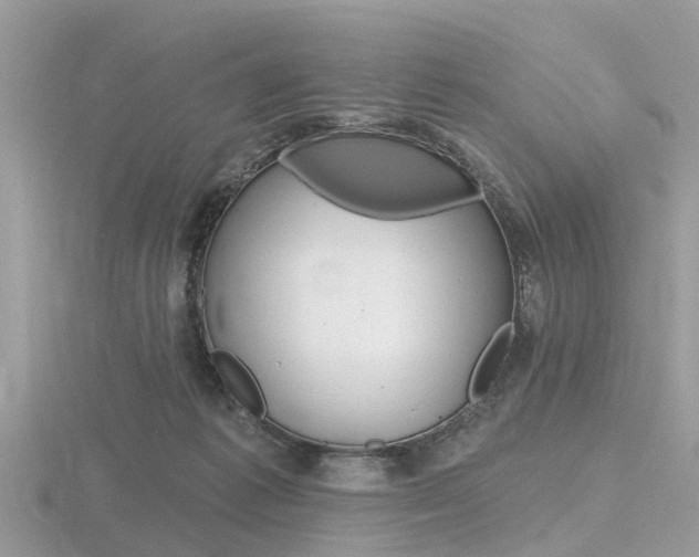 X0000116610221200912111008
