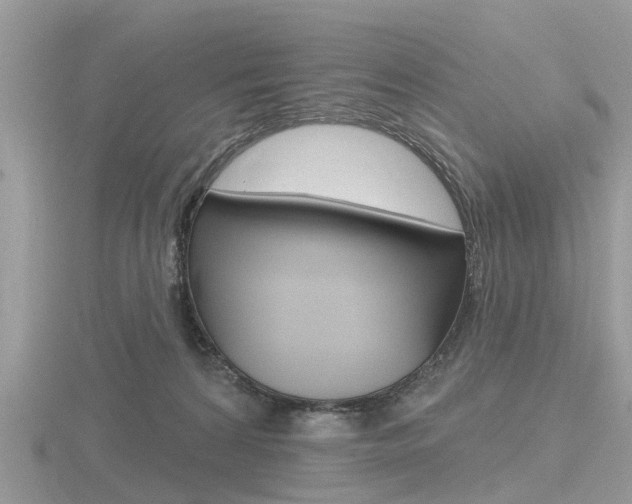 X0000116610224200912111007