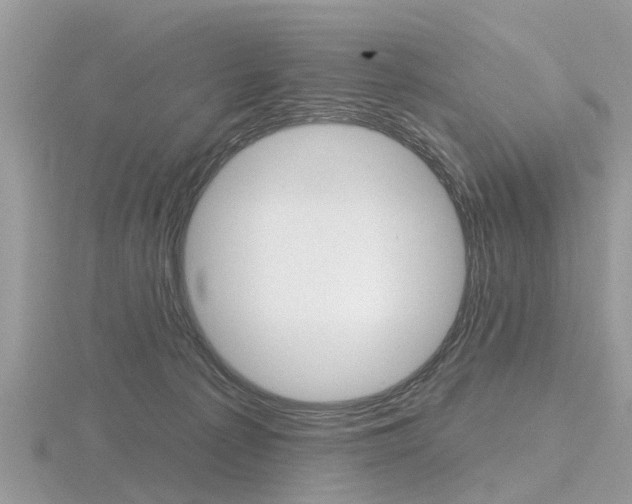 X0000116610225200912111007