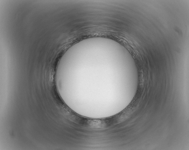 X0000116610230200912111007