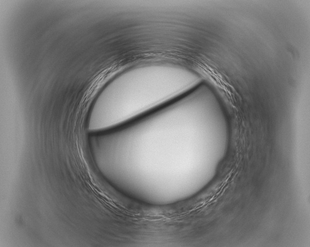 X0000116610241200912111007