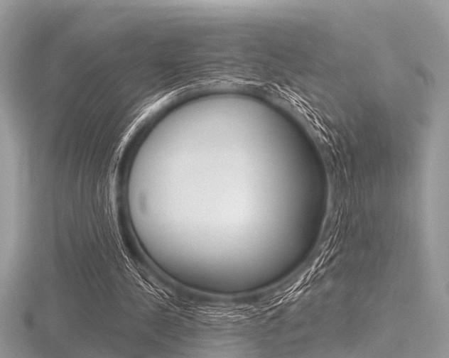 X0000116610244200912111007